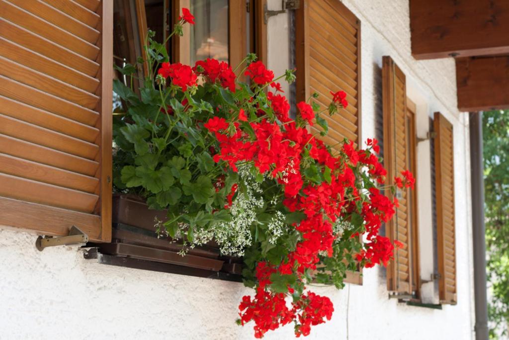 Appartamento Haus Wendelin Fulpmes Esterno foto
